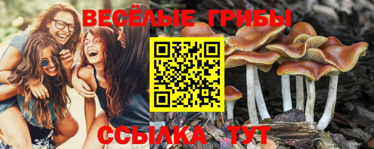 Галлюциногенные грибы Psilocybine cubensis  Галлюциногенные грибы GOLDEN TEACHER  Вход с VPN  Барабинск 
